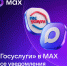 Как получать сообщения с «Госуслуг» прямо в MAX? - Сеченовский муниципальный округ